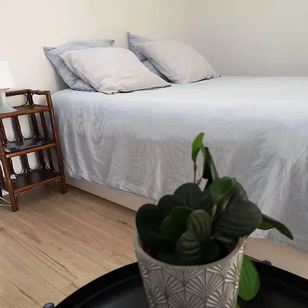 Lacanau: Petite Maison Chaleureuse Au Calme Lacanau